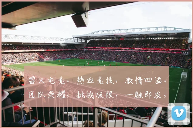 雷火电竞，热血竞技，激情四溢，团队荣耀，挑战极限，一触即发，三界争霸，巅峰对决