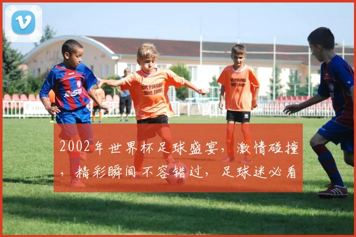 2002年世界杯足球盛宴，激情碰撞，精彩瞬间不容错过，足球迷必看